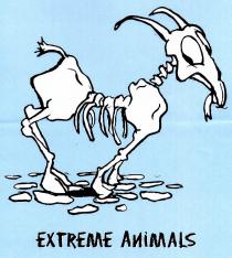 EXTREME ANIMALS