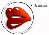 television:x THE FANTASY CHANNEL