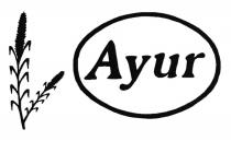 Ayur