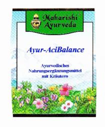 Maharishi Ayurveda Ayur-Acibalance Ayurvedisches Nahrungsergänzungsmittel mit Kräutern