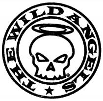 THE WILD ANGELS