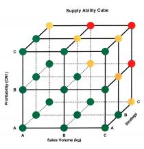 Supply Ability Cube Sales Volume (kg) Strategy Profitability (CM1)