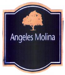 Angeles Molina
