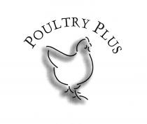 POULTRY PLUS