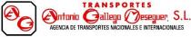AG TRANSPORTES Antonio Gallego Meseguer, S.L. AGENCIA DE TRANSPORTES NACIONALES E INTERNACIONALES