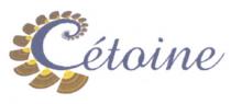 Cétoine