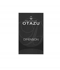 PALACIO DE OTAZU DIMENSION