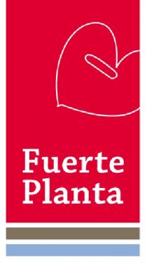 FUERTE PLANTA