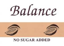 Balance NO SUGAR ADDED