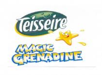 Teisseire MAGIC GRENADINE