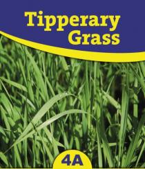 Tipperary Grass 4A