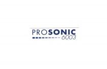 PROSONIC 6003