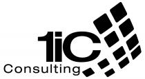 1iC Consulting