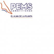 PEMS cambrillones EL ALMA DE LA PLANTA