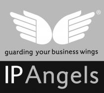 guarding your business wings IP Angels