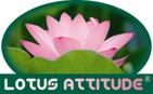 LOTUS ATTITUDE
