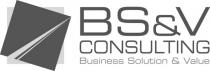 BS & V Consulting Business Solution & Value