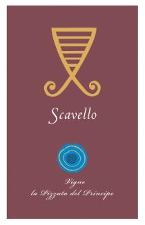 Scavello Vigne la Pizzuta del Principe