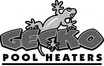GECKO POOL HEATERS