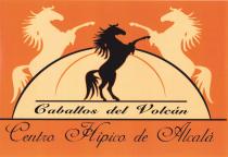 Caballos del Volcán Centro, Hípico de Alcalá