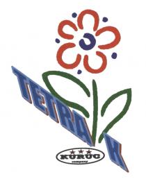 TETRA K KURUC company