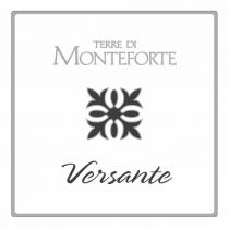 TERRE DI MONTEFORTE VERSANTE