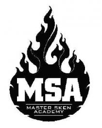 MSA MASTER SKEN ACADEMY