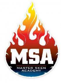 MSA MASTER SKEN ACADEMY