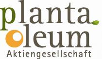 Planta Oleum