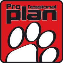 PROFESSIONAL PLAN