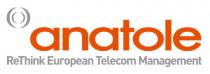 anatole ReThink European Telecom Management