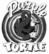 Purple TURTLE