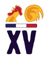 XV