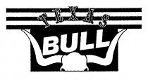 TEXAS BULL