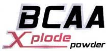 BCAA Xplode powder
