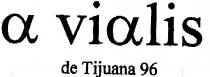 a vialis de Tijuana 96