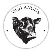 MCH ANGUS