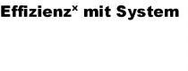 EffizienzX mit System