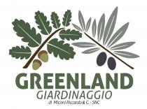 GREENLAND GIARDINAGGIO di Miconi Riccardo & C. - SNC