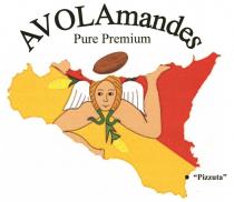 AVOLAmandes Pure Premium