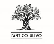 L' ANTICO ULIVO