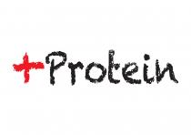 + Protein