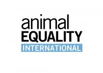 animal EQUALITY INTERNATIONAL