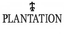 PLANTATION