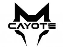 CAYOTE TEAM