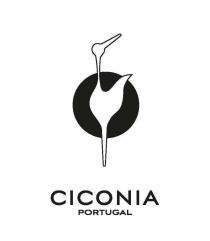 CICONIA PORTUGAL