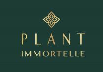PLANT IMMORTELLE