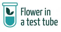 Flower in a test tube