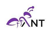 ANT