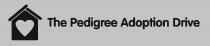 The Pedigree Adoption Drive